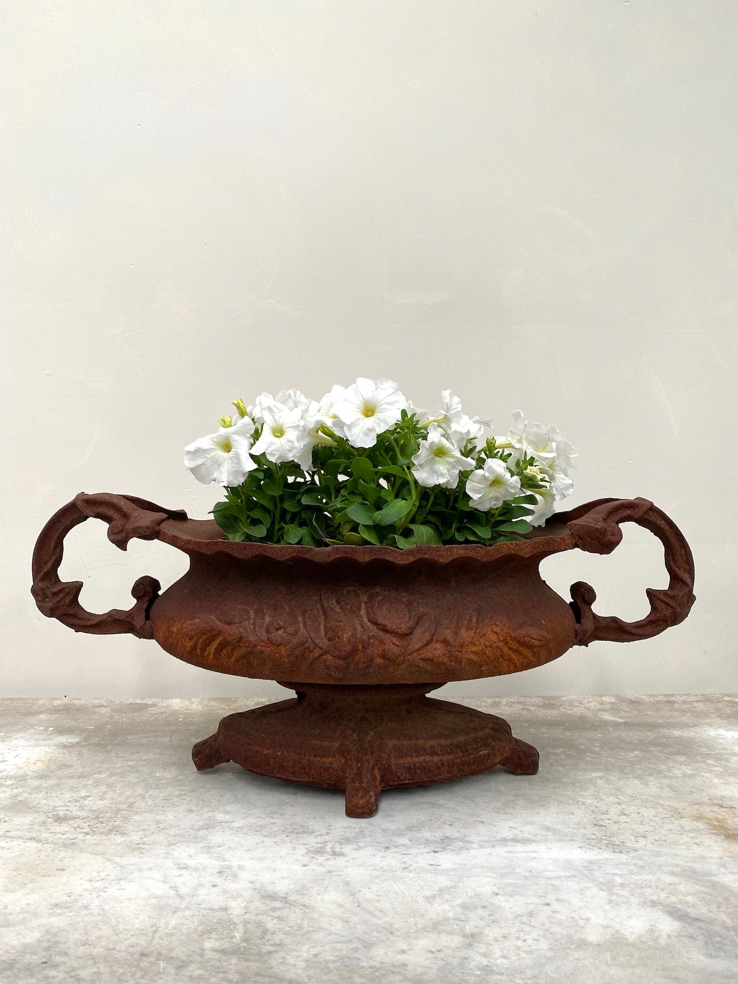 Vintage French Medium Cast Iron Jardinere with Handles - Rusty Flower Garland