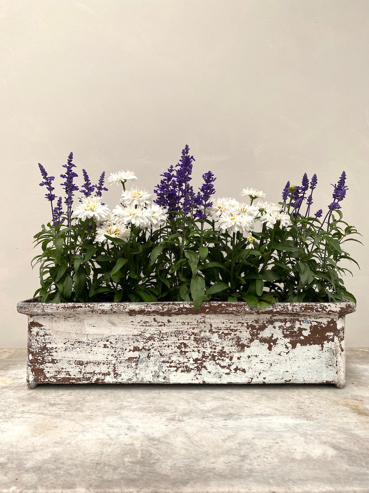 Vintage French Long Planter - White Painted