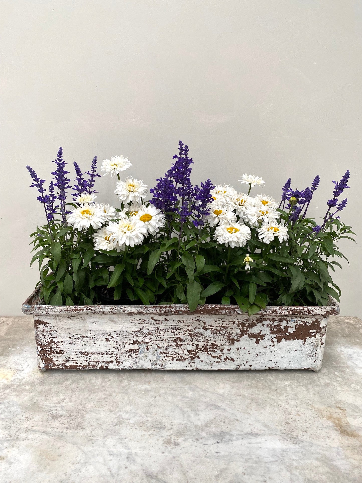 Vintage French Long Planter - White Painted