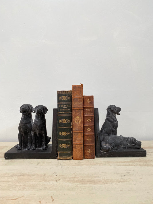 Friendly Dog Bookends