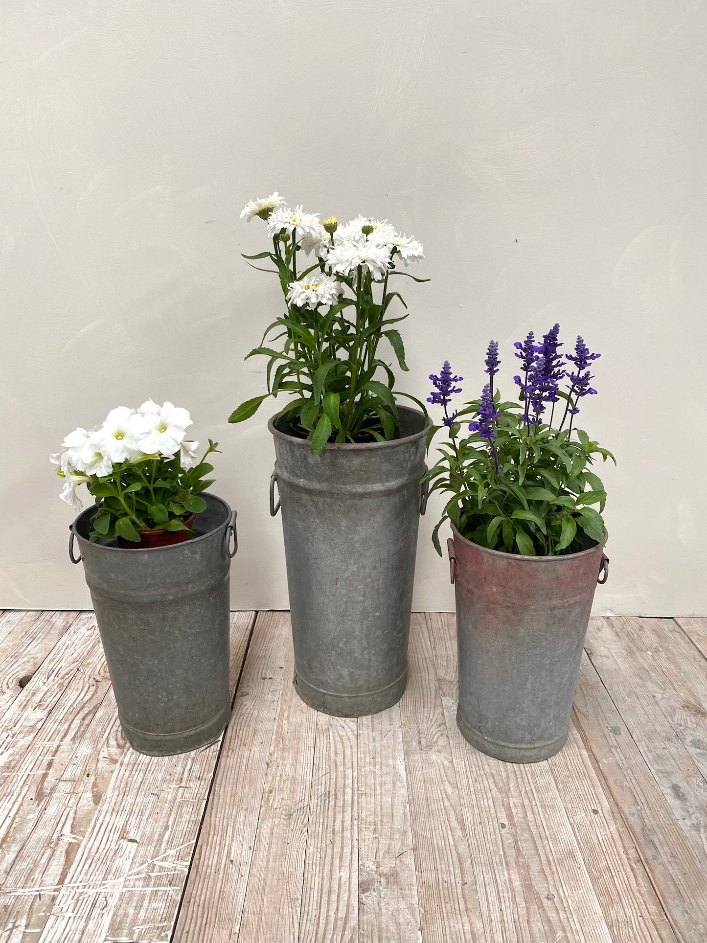 Antique French Florist's Tall Zinc Tubs with Handles