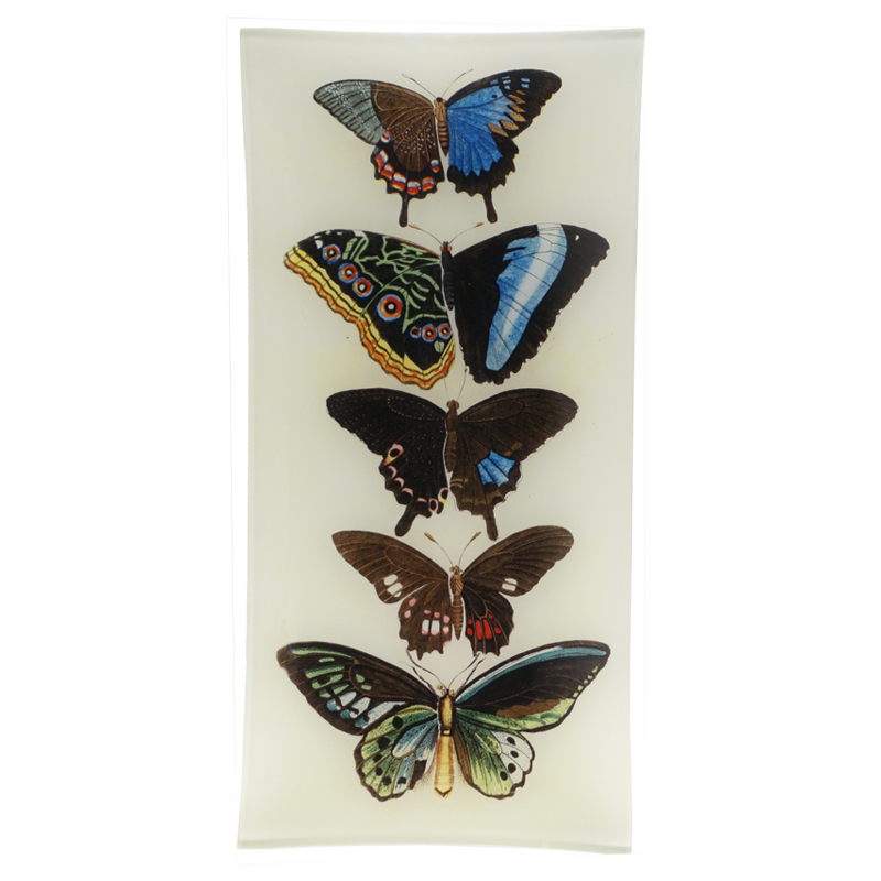 John Derian '5 Winged Butterflies' 6 x 12" Tray