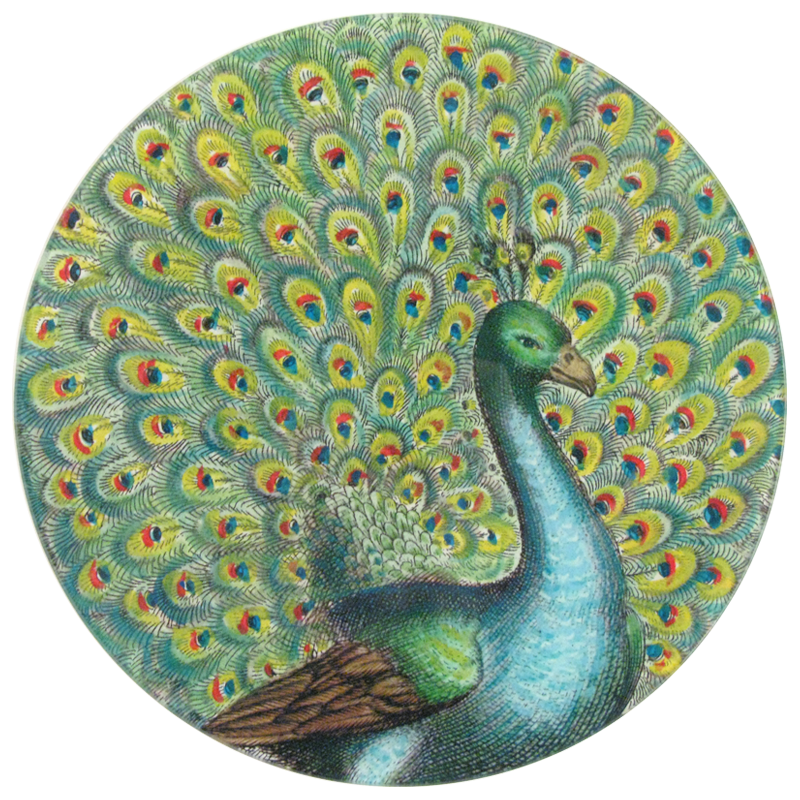 John Derian 'Coy Peacock' 10" Round Plate