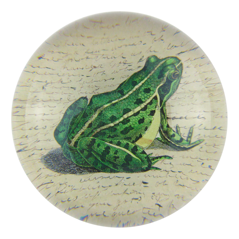 John Derian 'Frog Prince' Paperweight