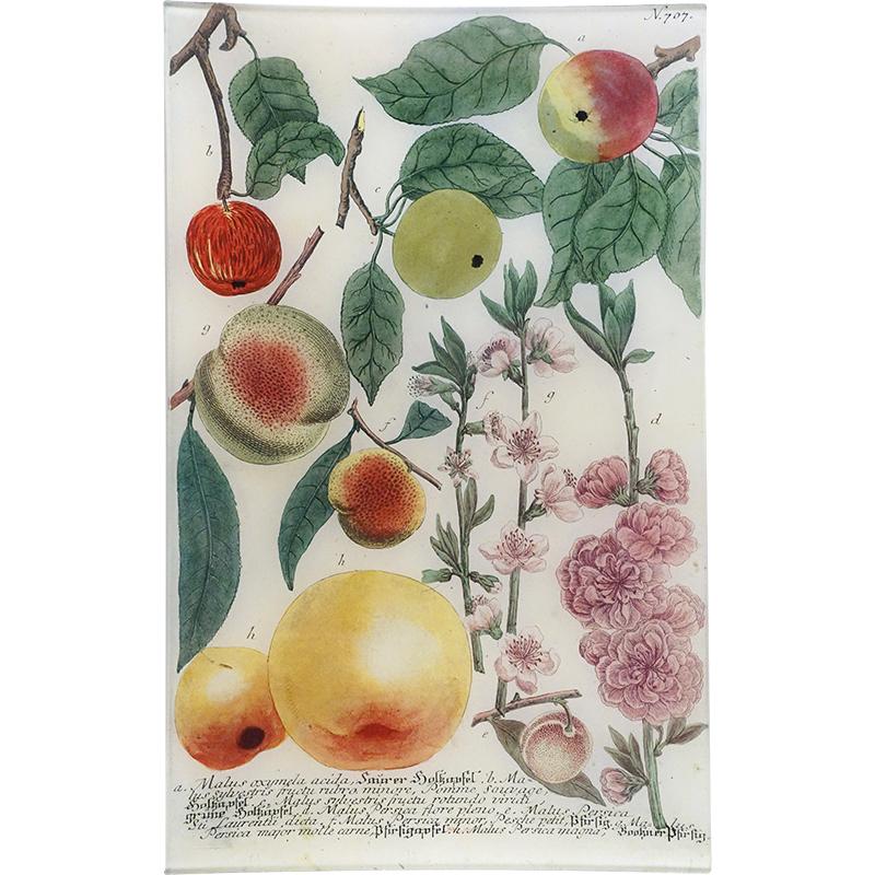 John Derian ‘N. 707 Colourful Apples’ 10x16" Tray