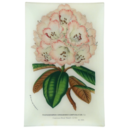 John Derian 'Rhododendron Cinnamomeo Campanulatum' Rectangle Tray