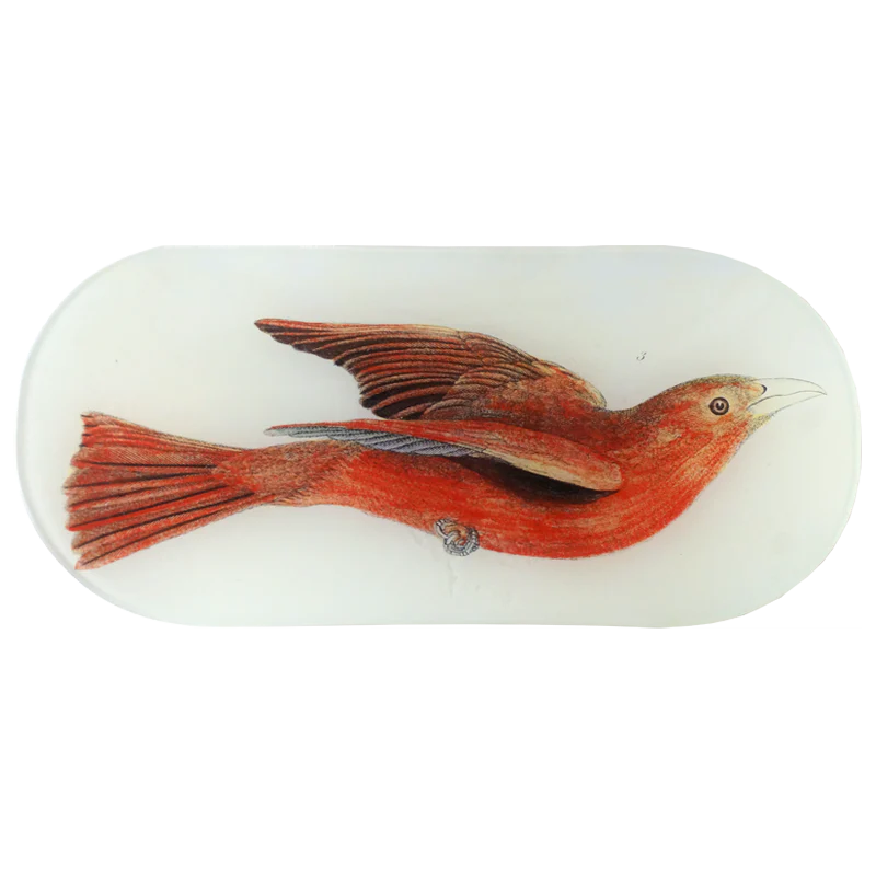 John Derian 'Summer Red Bird' 6 x 12" Oblong Tray